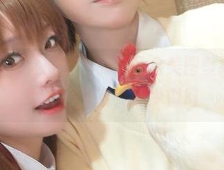 “G44不会受伤”的八音盒美图壁纸，点亮你的生活，如梦似幻