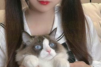 在miko酱ww2023年合集的图集中，分享她的甜美瞬间，不可错过哦！