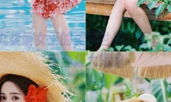 探索九柒喵女王的美丽世界，精彩写真美图合集大揭秘