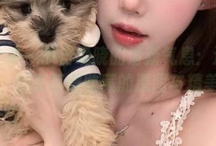 梦丝女神 – 来自晓晓的清新气息：这裙子真香，分享值得收藏的原图与精美图片