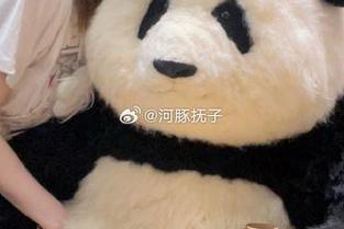 免费图册上线！一起进入河豚抚子的透明世界，感受不一样的魅力！