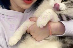 让你哈哈大笑的狐洛洛子兔女郎全套图包，轻松点开，快乐加倍！