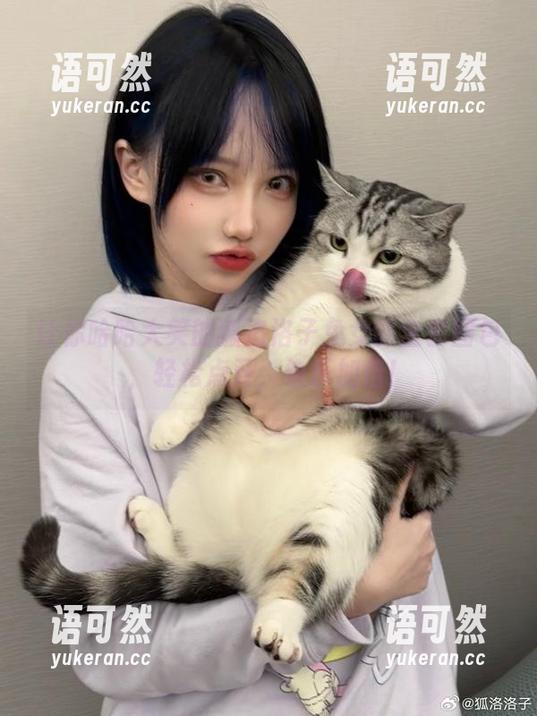 让你哈哈大笑的狐洛洛子兔女郎全套图包，轻松点开，快乐加倍！